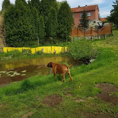 Ferienwoh.mecklenburger Seenplatte Siedenbrunzow